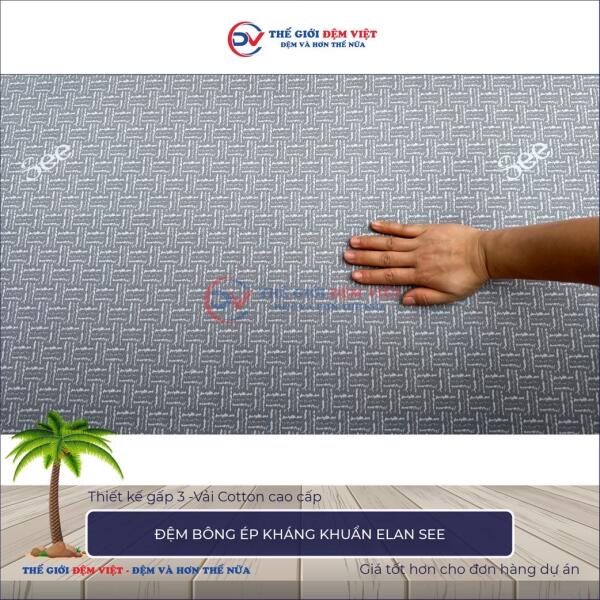 Đệm bông ép kháng khuẩn Elan See